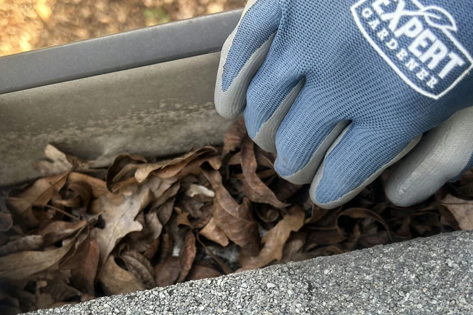 Gutter Cleaning Camden